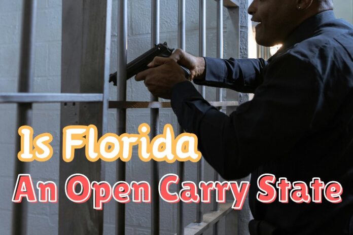 Is Florida An Open Carry State